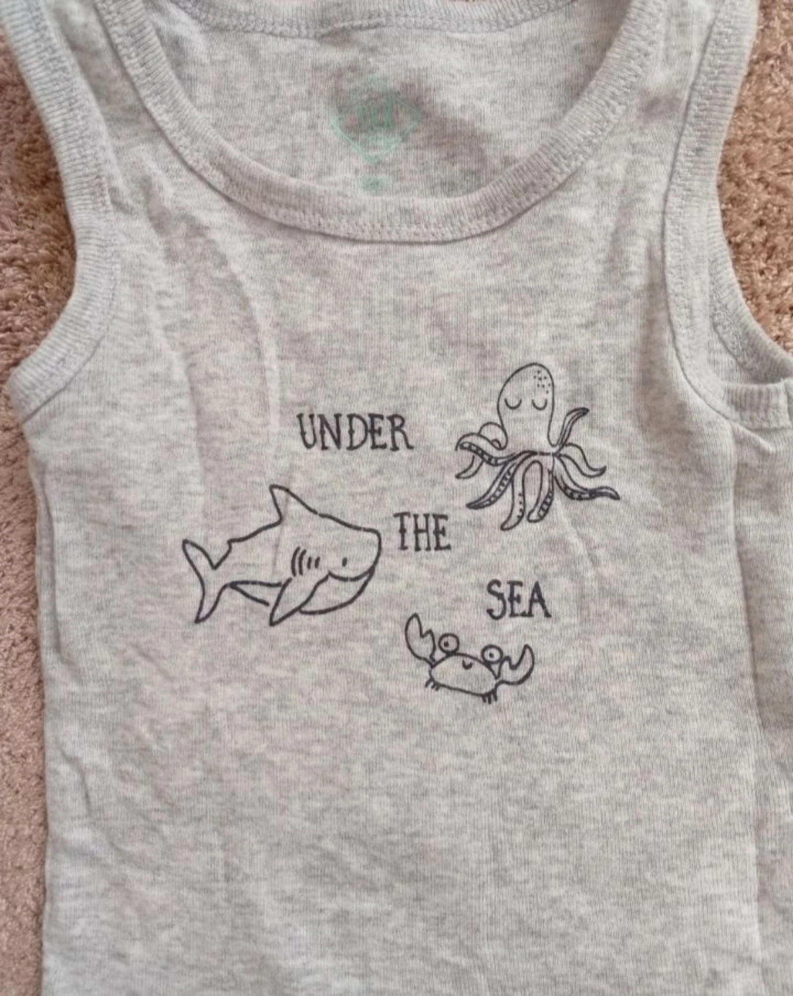 Lot of 2 Tex baby bodysuits | Size 12 months – photo 4